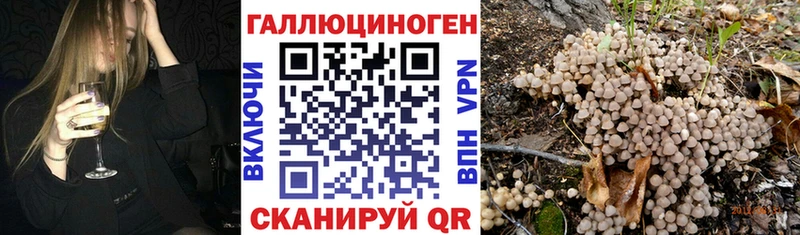 Купить  Исилькуль  Псилоцибиновые грибы Psilocybe 